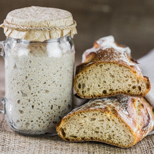 Sourdough Starter